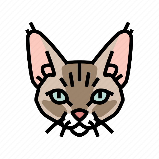 Devon, rex, cat, cute, pet, animal icon - Download on Iconfinder