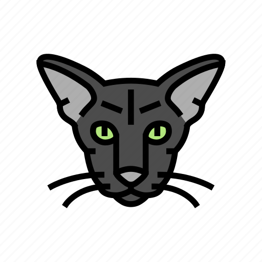 Oriental, cat, cute, pet, animal, kitten icon - Download on Iconfinder