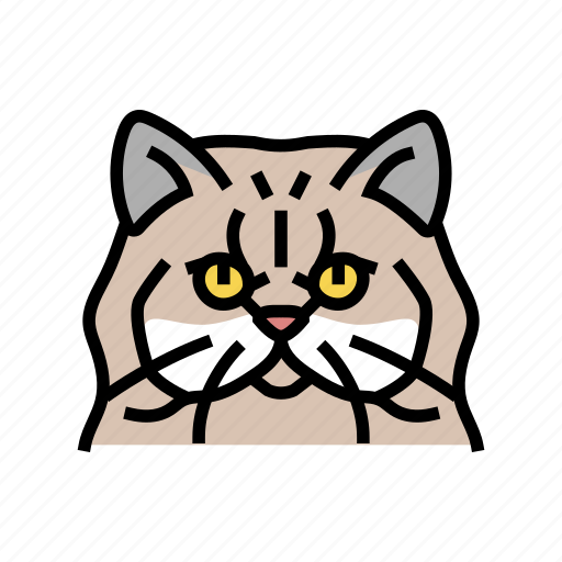Persian, cat, cute, pet, animal, kitten icon - Download on Iconfinder