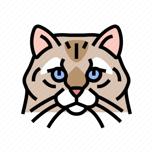 Siberian, cat, cute, pet, animal, kitten icon - Download on Iconfinder