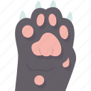 cat, claws, paw, feet, animal