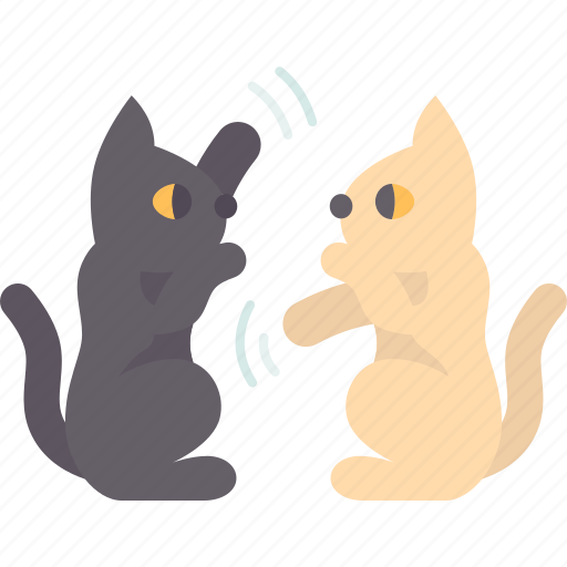Cat, fighting, attack, aggression, behavior icon - Download on Iconfinder