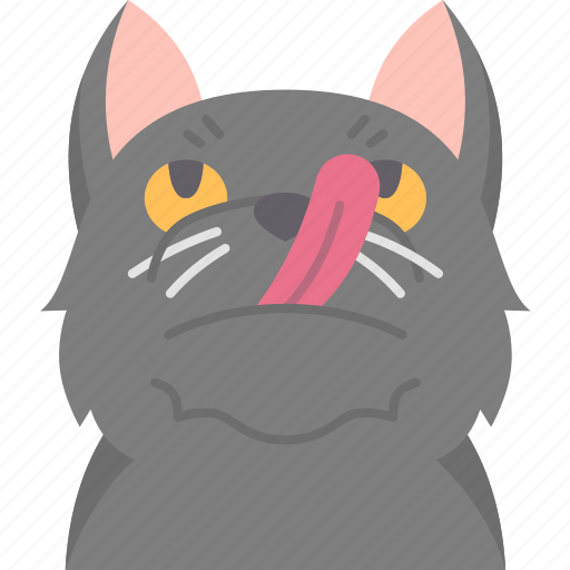 Cat, lick, tongue, feline, pet icon - Download on Iconfinder