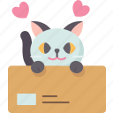 cat, playing, box, adorable, cute
