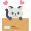 cat, playing, box, adorable, cute 