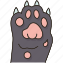 cat, claws, paw, feet, animal