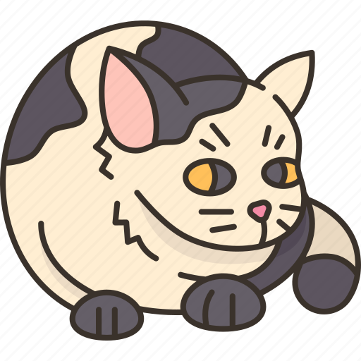 Cat, fat, pet, overweight, cute icon - Download on Iconfinder