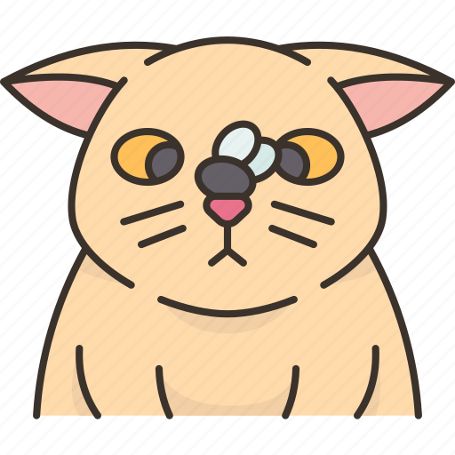Cat, insect, play, cute, animal icon - Download on Iconfinder