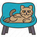 cat, relax, chair, pet, rest