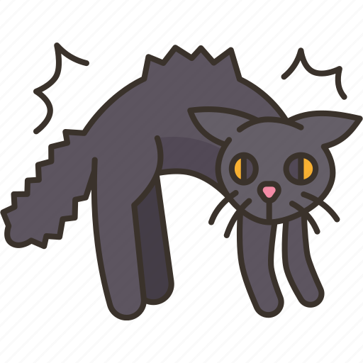 Cat, scared, angry, terrified, behavior icon - Download on Iconfinder