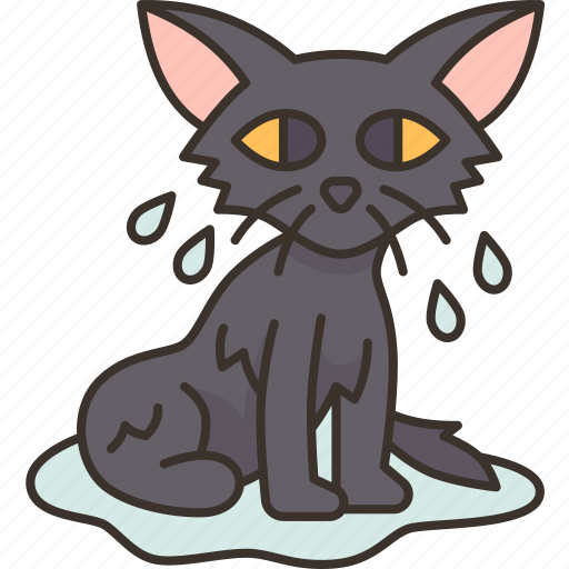Cat, soggy, bath, wet, kitten icon - Download on Iconfinder