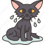 cat, soggy, bath, wet, kitten 