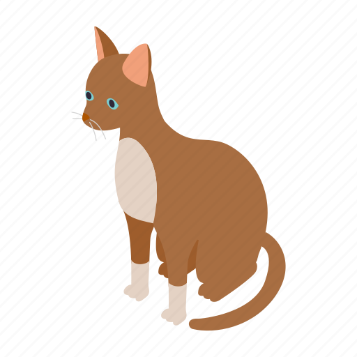 Animal, blog, cat, cornish, isometric, pet, rex icon - Download on Iconfinder