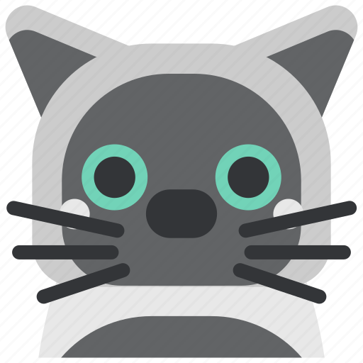 Animal, avatar, cat, cute, face, pet, pussy icon - Download on Iconfinder
