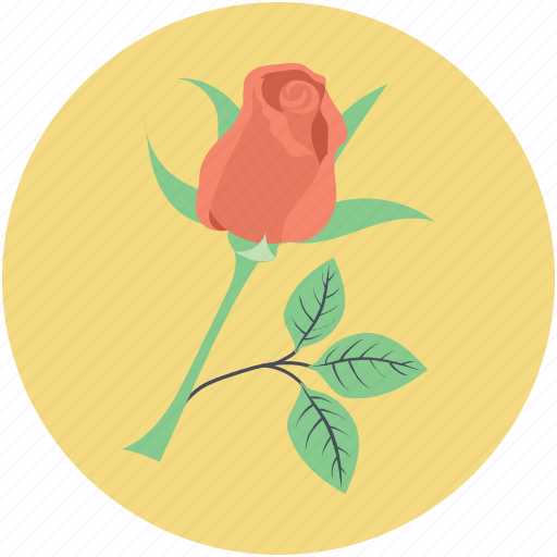 Blossom, flower, love symbol, red rose, rose, rosebud icon - Download on Iconfinder