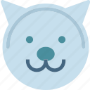 animal, avatar, cat, character, profile, smileface