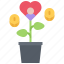 plant, pot, love, money, charitable, organization, donation