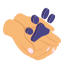 pet care, animal care, hands, protection, animal paw, animal protection 