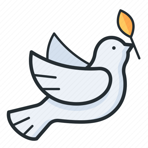 Dove, peace, charity, bird icon - Download on Iconfinder