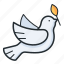 dove, peace, charity, bird 