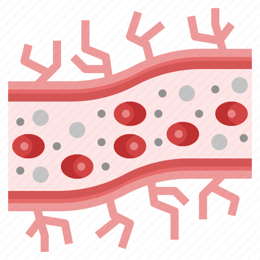 Capillary, blood, vessel, vein, cell, nerve icon - Download on Iconfinder