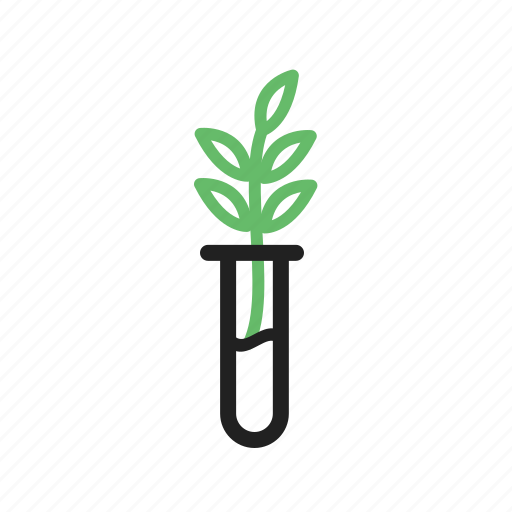 Experiment, green, growth, nature, plant, seed, success icon - Download on Iconfinder