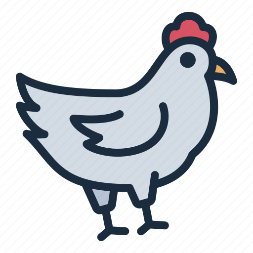 Hen, animal, chicken, farm, poultry, agriculture icon - Download on Iconfinder