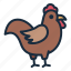 rooster, animal, chicken, farm, poultry, agriculture 