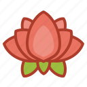 asian, chinese, decorations, flower, lotus