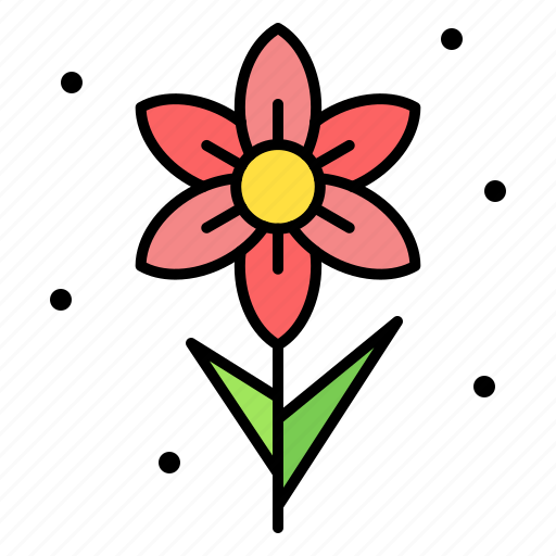 Narcissus, blossom, flower, jonquil, plant icon - Download on Iconfinder
