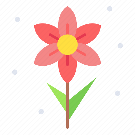 Narcissus, blossom, flower, jonquil, plant icon - Download on Iconfinder