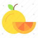orange, fruit, food, healthy, citrus