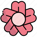 sakura, flower, japanese, blossom, plant, gardening, garden
