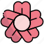 sakura, flower, japanese, blossom, plant, gardening, garden 