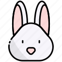 rabbit, animal, bunny, easter, pet, zodiac, chinese