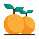 orange, fruit, new, year, culture, tropical, chinese icon