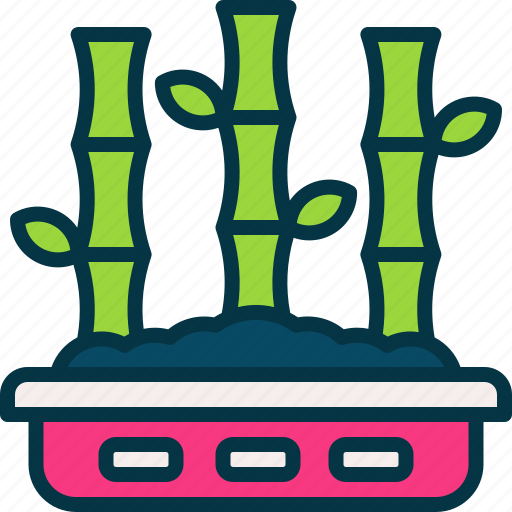 Bamboo, tropical, nature, plant, chinese icon - Download on Iconfinder