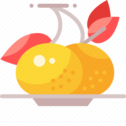Chinese, fruit, orange icon - Download on Iconfinder