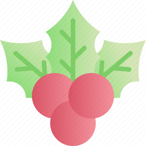 Christmas, xmas, holiday, mistletoe, berry, ornament, fruit icon - Download on Iconfinder