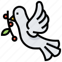 bird, christian, dove, faith, olive, peace 
