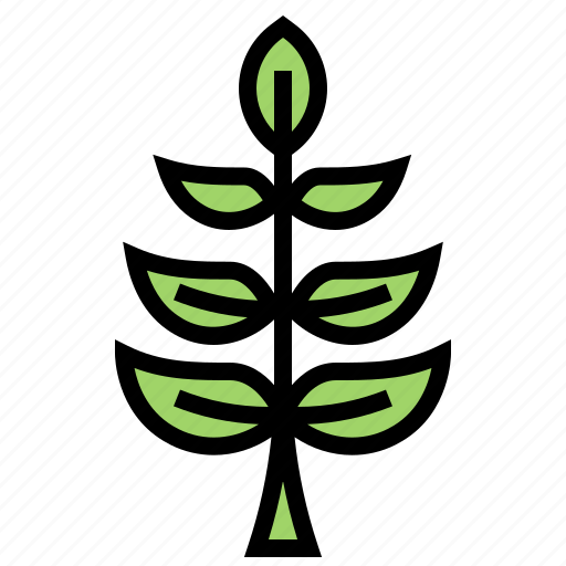 Herb, olive, organic, peace, plant icon - Download on Iconfinder