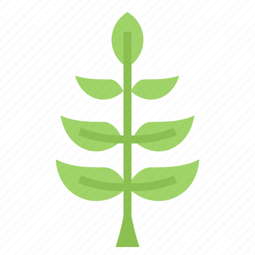 Herb, olive, organic, peace, plant icon - Download on Iconfinder