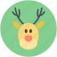 animal head, christmas reindeer, deer head, elk, reindeer head 