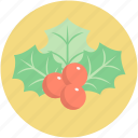 christmas mistletoe, christmas ornaments, mistletoe, plant, xmas decorations