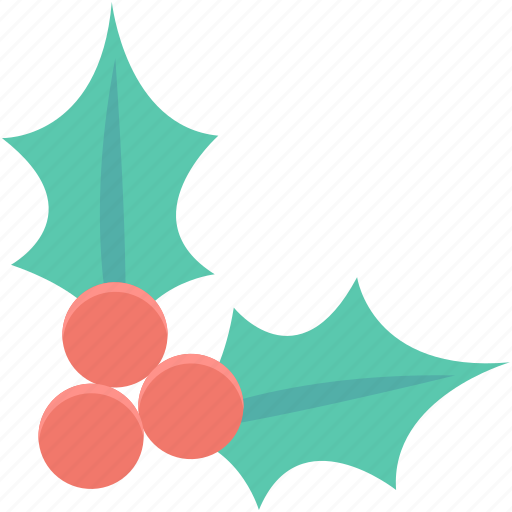 Christmas mistletoe, christmas ornaments, mistletoe, plant, xmas icon - Download on Iconfinder