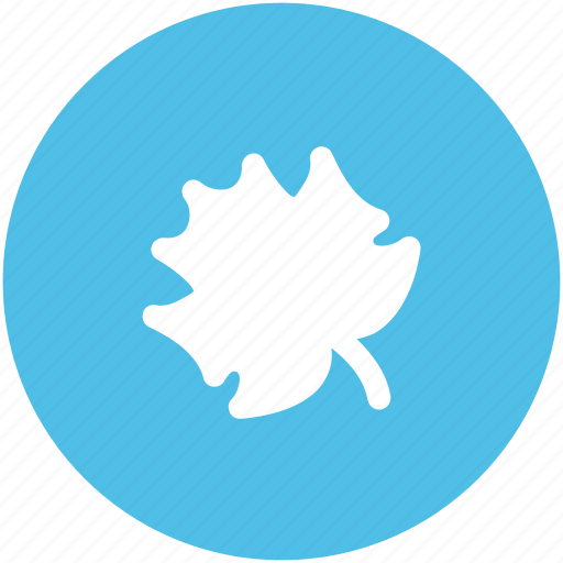 Autumn leaf, garden, leaf, tree fall, tree leaf, yard icon - Download on Iconfinder