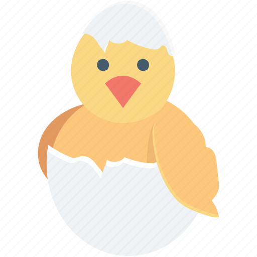 Bird, broken egg, chick, chicken, easter icon - Download on Iconfinder