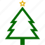christmas, pines, xmas, plant, plants, star 