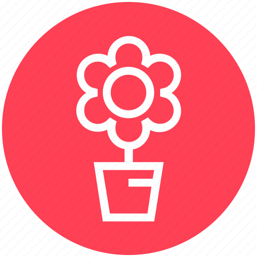 Christmas, decoration, flower, plant, pot icon - Download on Iconfinder