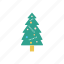 christmas, decoration, fir, nature, tree 